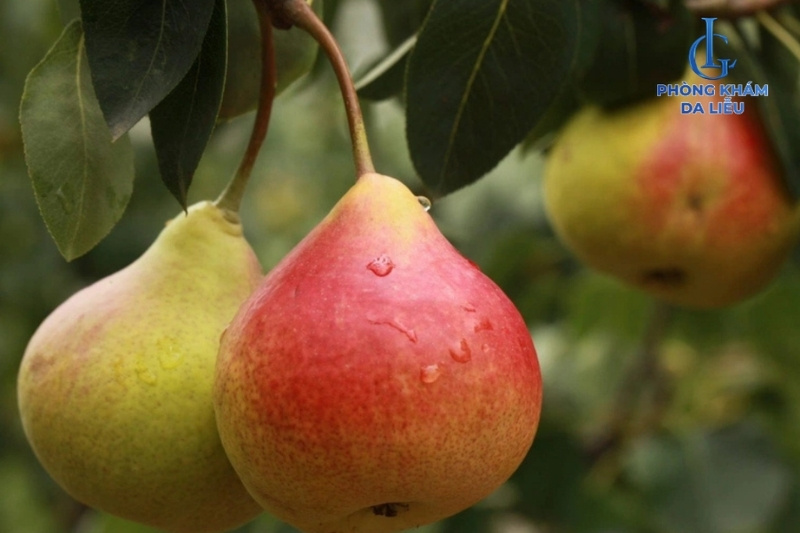 ăn lê có bị nổi mụn không