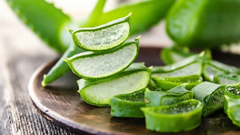 cách trị mụn lưng tại nhà bằng Nha đam
