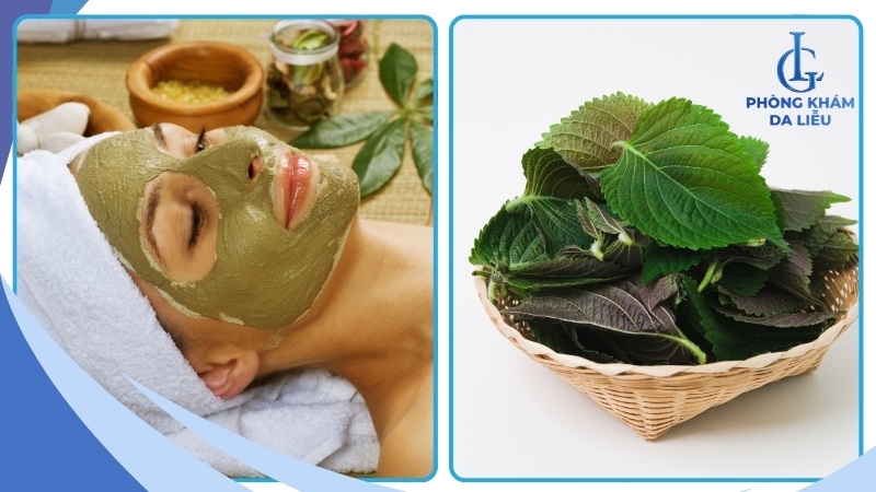 Đắp mặt nạ tía tô giã nhuyễn