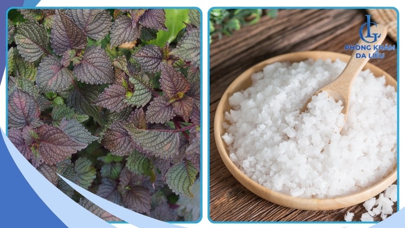 Kết hợp lá tía tô với muối biển
