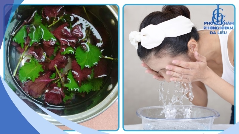 Lau mặt bằng nước lá tía tô đã đun sôi