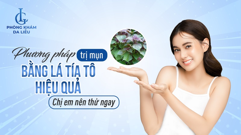 cách trị mụn bằng lá tía tô hiệu quả