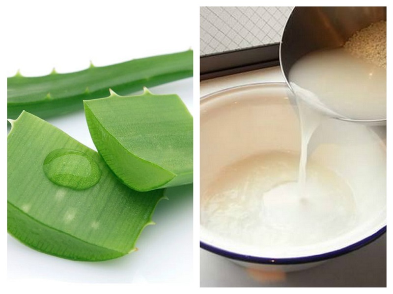 Cách trị mụn bằng nha đam và nước vo gạo