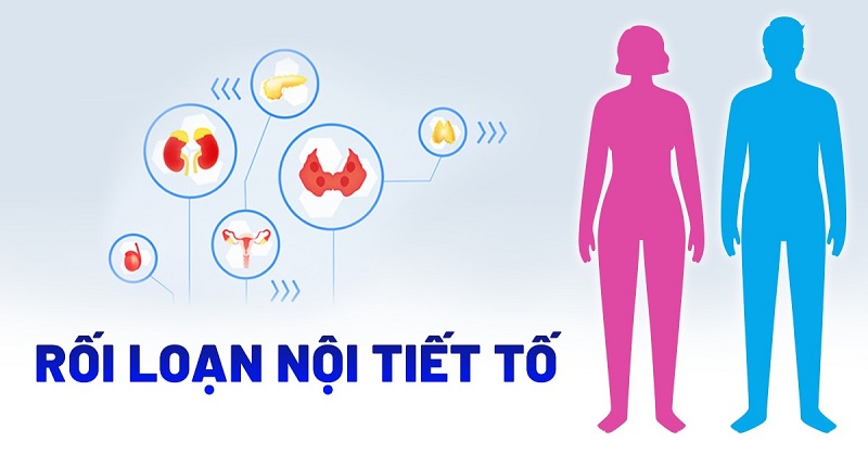 thay đổi nội tiết tố