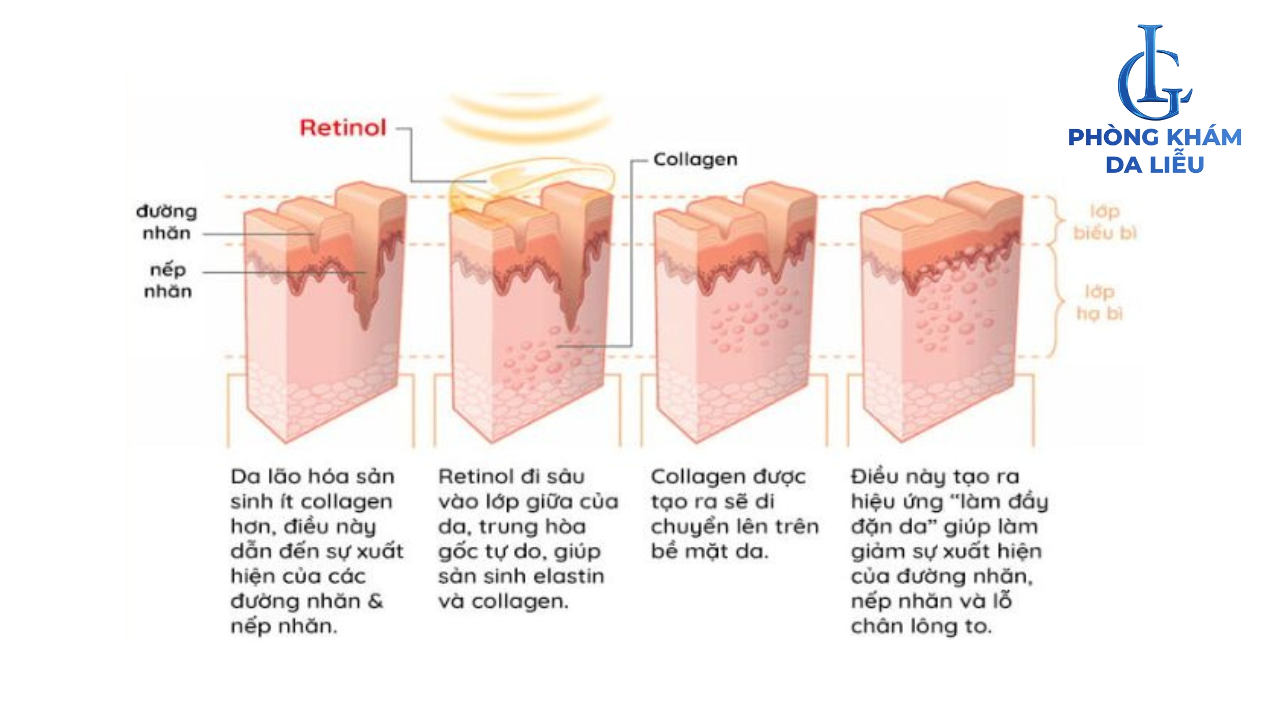 cơ chế tác động của retinol