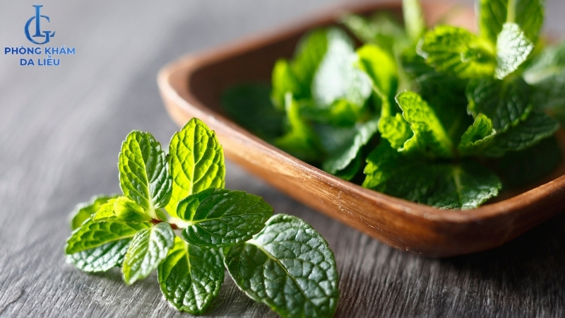 cách điều trị mụn lưng bằng bạc hà tại nhà