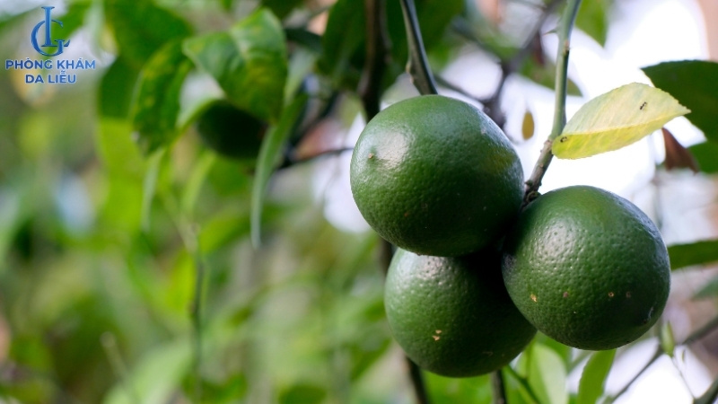 cách điều trị mụn lưng tại nhà bằng chanh