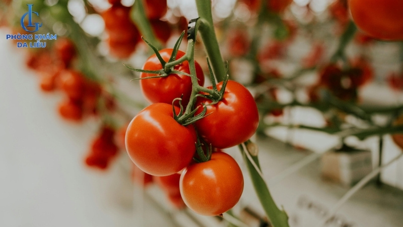 cách điều trị sẹo rỗ tại nhà với cà chua