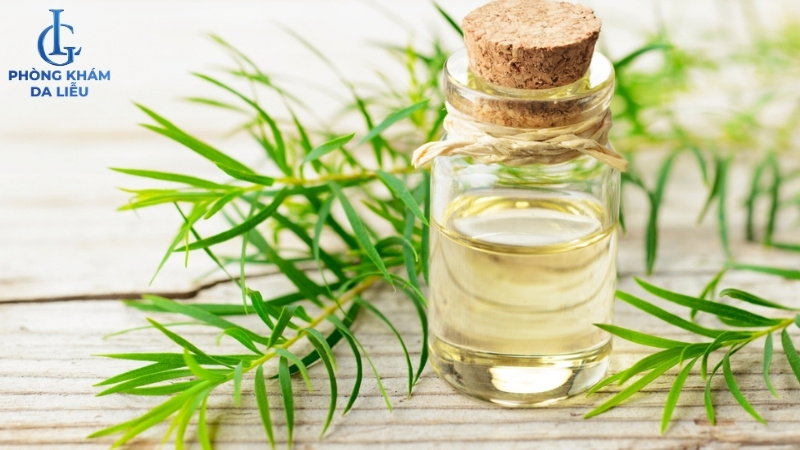 tinh dầu tràm điều trị sẹo rỗ lâu năm tại nhà
