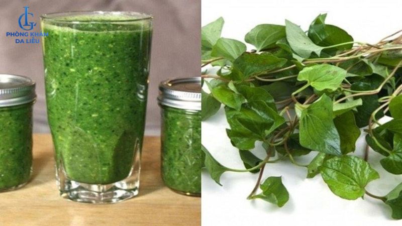 Rau diếp cá điều trị mụn lưng