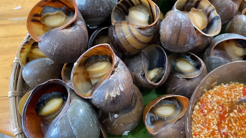 ăn ốc bươu có bị sẹo lồi không