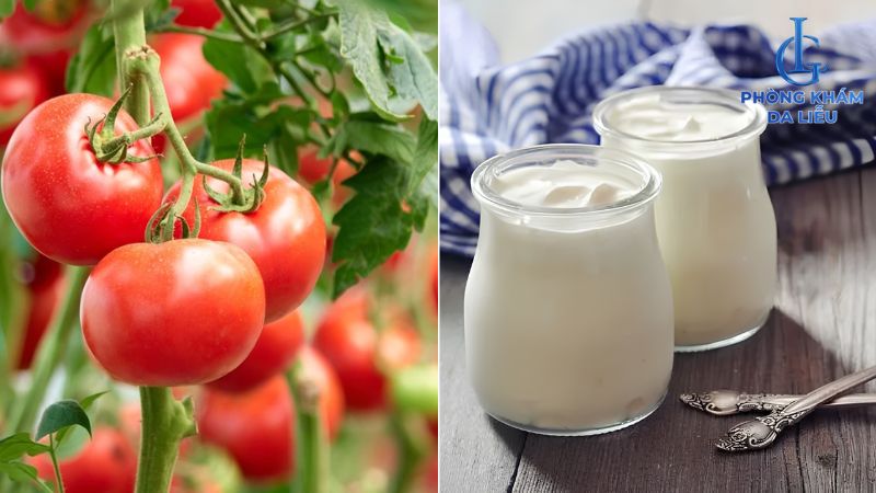 cà chua và sữa chua