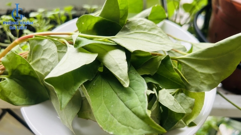 cách trị mụn lưng bằng rau diếp cá