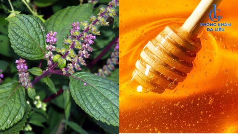 mật ong kết hợp lá tía tô