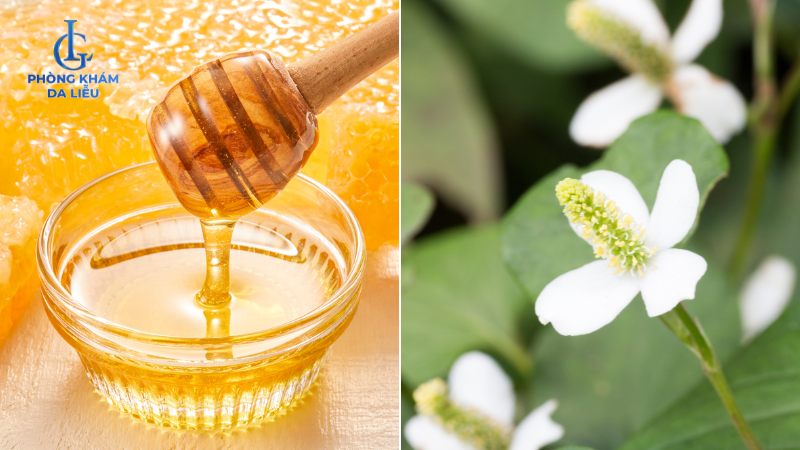 mật ong và diếp cá