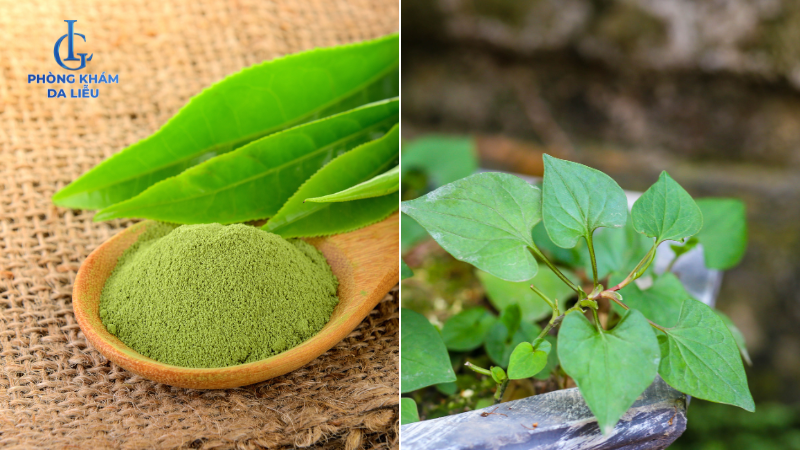 trà xanh và diếp cá