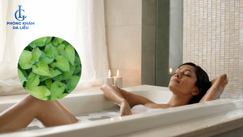 tắm diếp cá trị mụn lưng