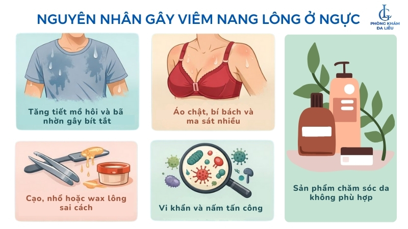 nguyên nhân viêm nang lông ngực