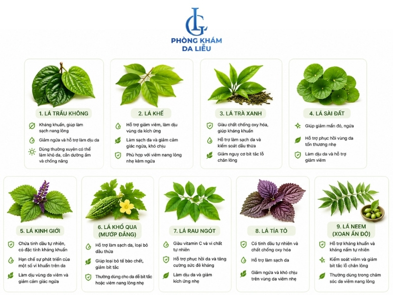 9 loại thảo dược tắm trị viêm nang lông