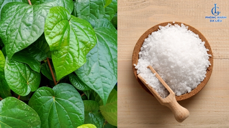 cách trị viêm nang lông bằng lá trầu không tại nhà