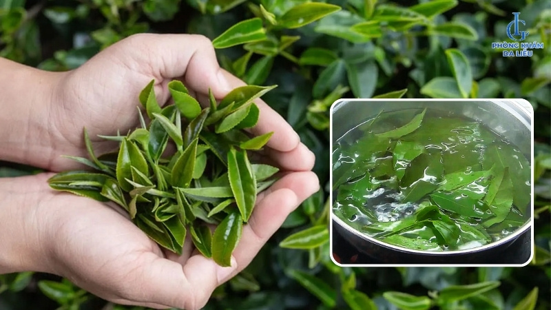 tắm trà xanh trị viêm nang lông