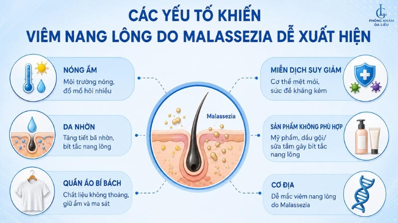 các yếu tố giúp nấm malassezia gây viêm nang lông