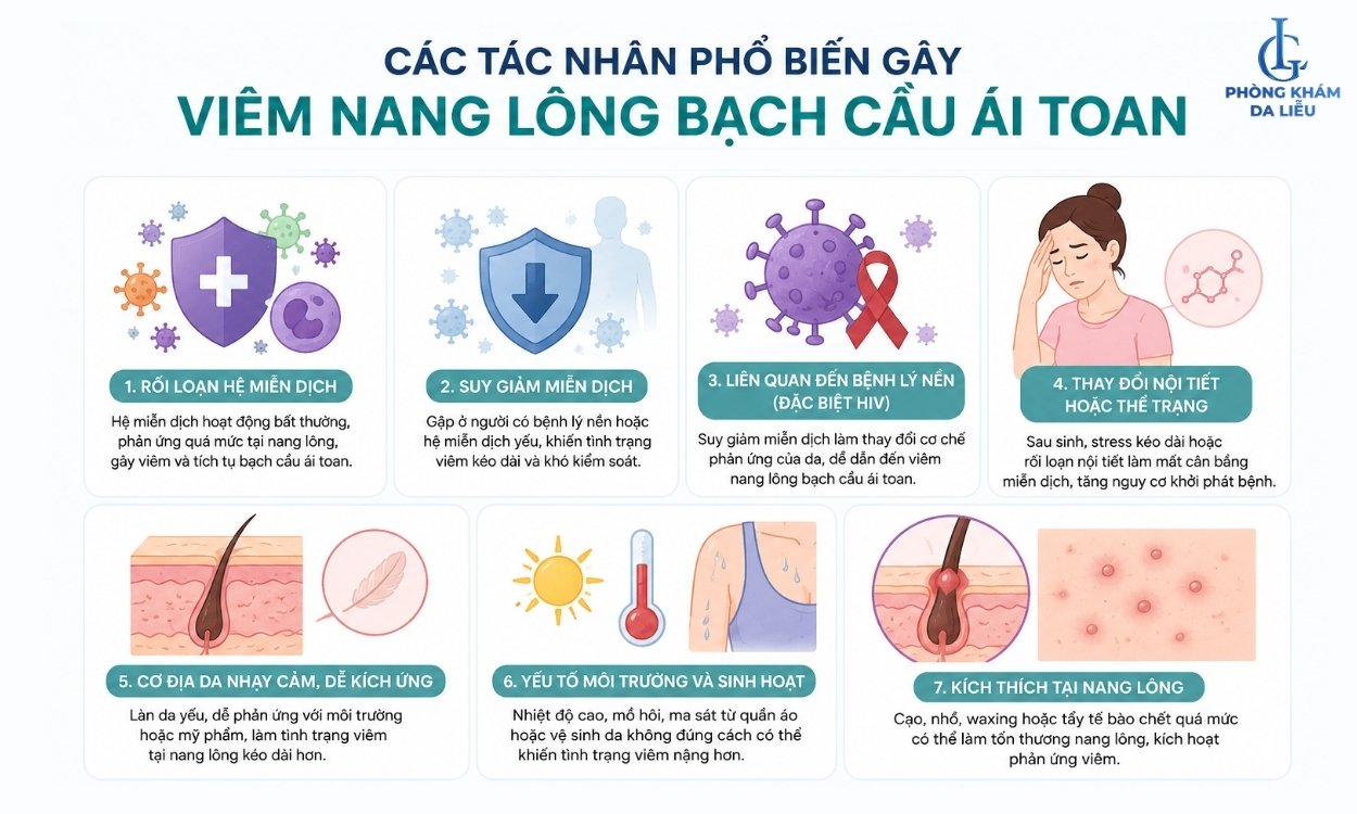 tác nhân gây viêm nang lông bạch cầu ái toan