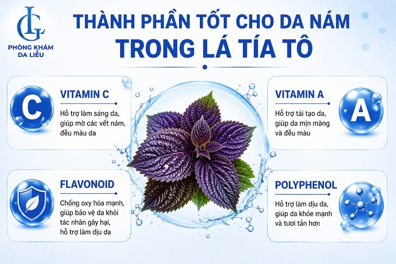 mặt nạ tía tô trị nám da