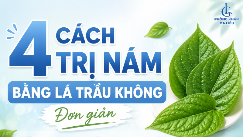 Cách trị nám bằng lá trầu không