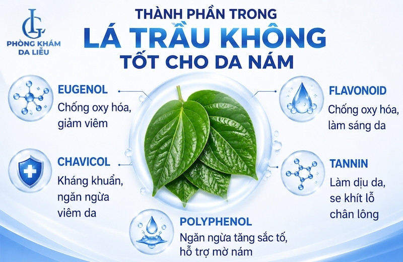 Lợi ích của lá trầu không với da nám