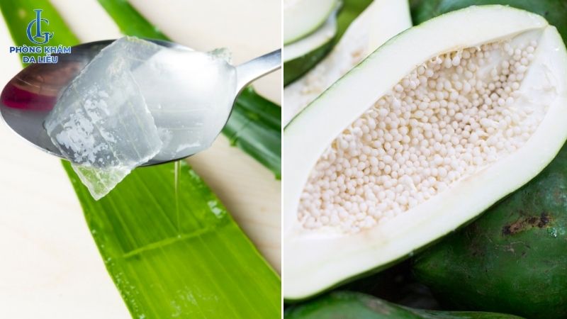 Đu đủ xanh và nha đam