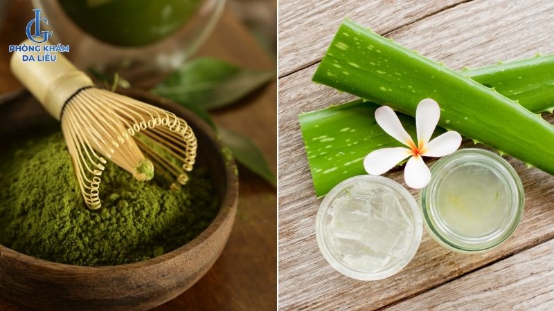 Cách trị nám bằng nha đam và bột trà xanh