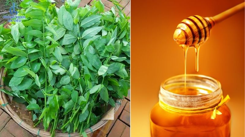 Rau ngót và mật ong