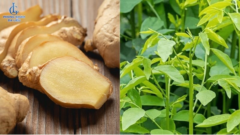 Cách trị nám bằng rau ngót và gừng