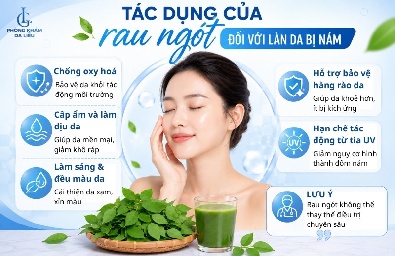 cách trị nám bằng rau ngót tại nhà