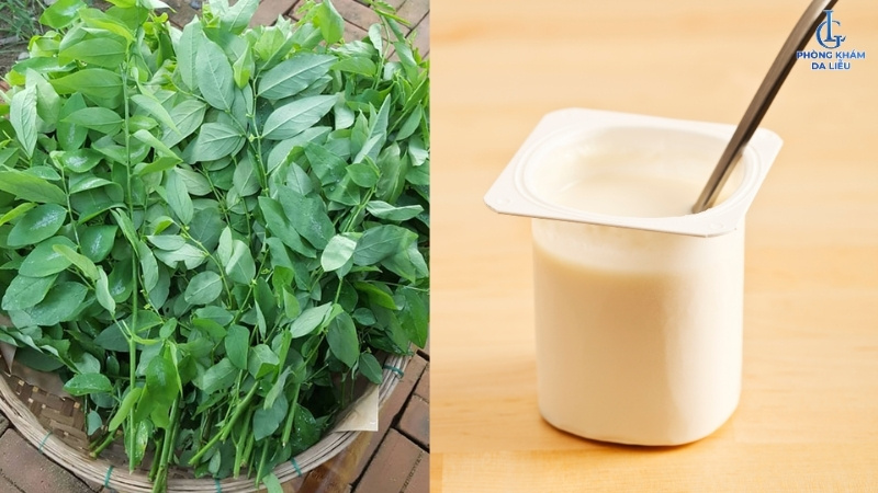 cách trị nám bằng rau ngót và sữa chua