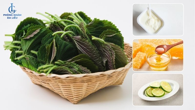 lá tía tô làm mặt nạ trị nám tàn nhang