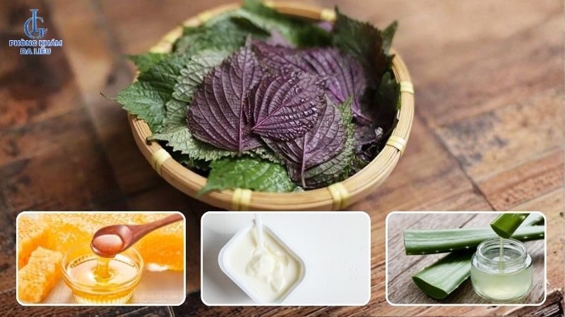 mặt nạ trị nám bằng lá tía tô