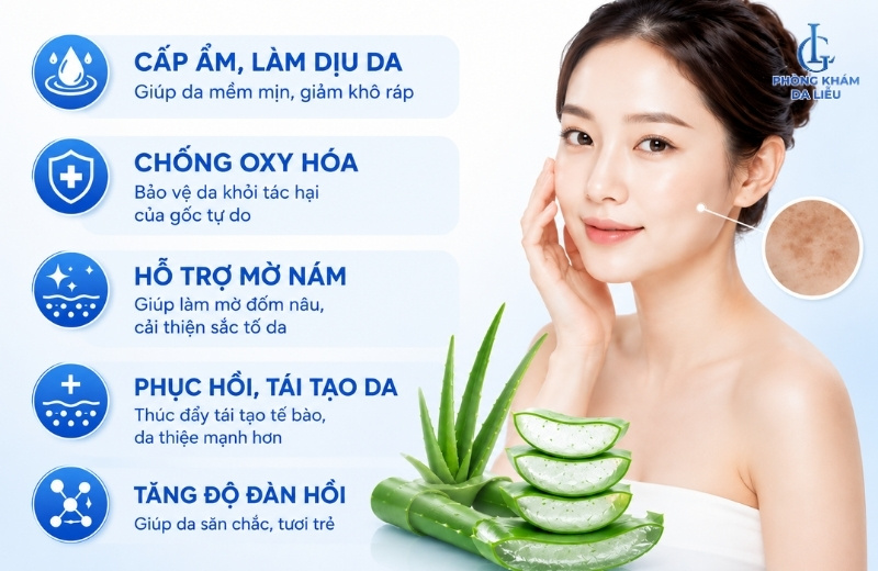 nha đam trị nám