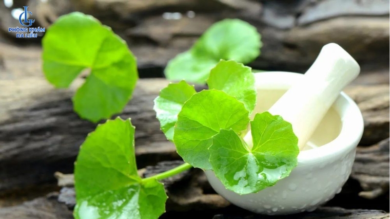 các cách trị sẹo rỗ bằng rau má